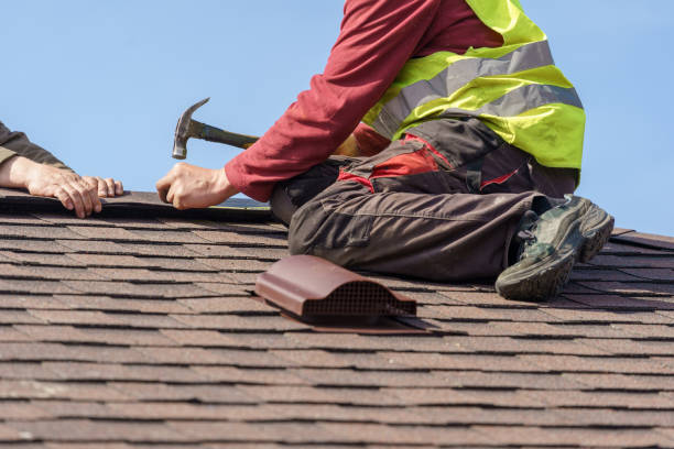Best Roof Gutter Cleaning  in Woodbury, NJ